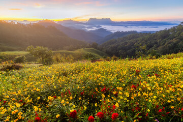 Beautiful landscape in the morning at Doi Luang Chiang Dao, Chiang Mai, Thailand