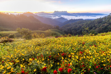 Beautiful landscape in the morning at Doi Luang Chiang Dao, Chiang Mai, Thailand