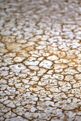 Sécheresse sol sec avec fissures