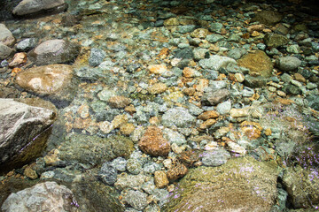 crystal clear water from a waterfall in the interior of rio de janiero - Brazil