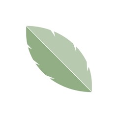 natural leaf icon image vector illustration design