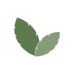 natural leaf icon image vector illustration design