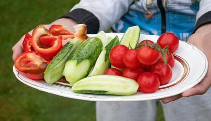 the boy holds in his hands a plate with chopped vegetables tomatoes, cucumber, pepper