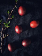 Painted Easter eggs and a branch with young leaves with selective focus