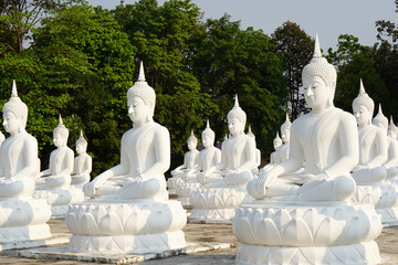 white Buddha statues are arranged in beautiful rows.             