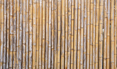 beautiful lined dried bamboo background                  