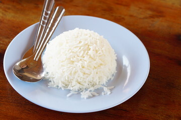 cooked rice in a blue plate ready to eat