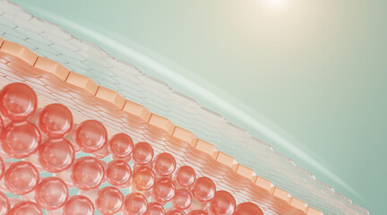 3D Collagen Skin Serum and Vitamin illustration isolated on soft color background. concept skin...