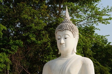 white Buddha statues are arranged in beautiful rows.        