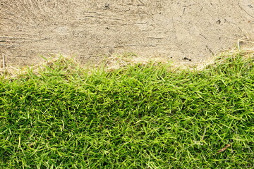 green grass background in football field