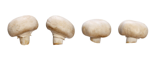 set of natural champignons isolated on white background