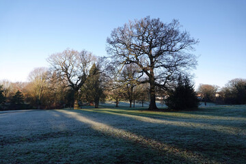 A beautiful park landscape in the winter sunshine at Lake Meadows, Billericay, Essex, UK. 