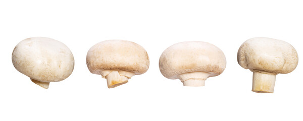 set of natural champignons isolated on white background