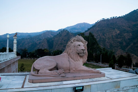  Mohan Shakti park, Solan