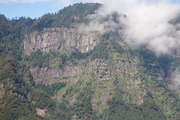 View of forest and mountain in national park in taiwan