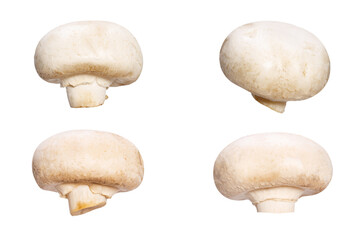 set of natural champignons isolated on white background