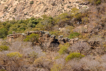 Brazilian biome caatinga em Pedra Lavrada, Paraiba, Brazil on May 28, 2008.