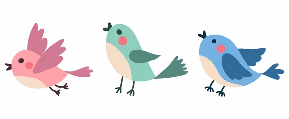 Fotobehang Mooie en schattige veelkleurige vogels. Lentevogels met mooie snavels en rode wangen. Vectorvogels voor ansichtkaarten © Anna Yakushenko