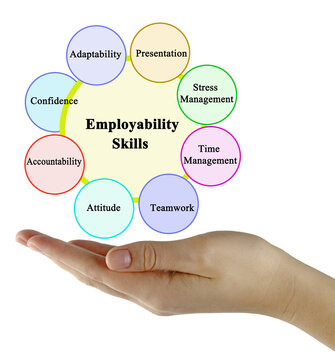 Eight Skills Which Promote Employability