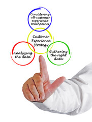 Components of Customer Experience Strategy