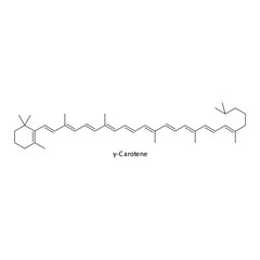 γ Gamma Carotene Skeletal structure and molecular formula. Organic biomolecule, isolated vector illustration