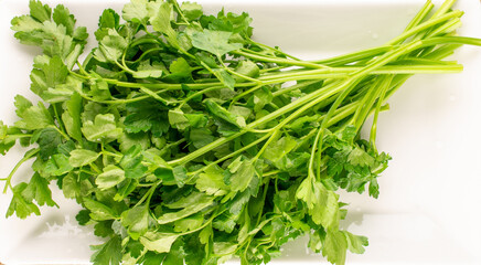 One bunch of fresh green parsley on a white ceramic plate , macro, top view.