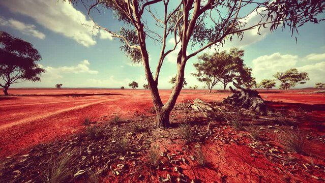 amazing sunset at savannah plains in National Park of Kenya
