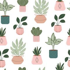 House plants seamless pattern. Potted plants vector flat Illustration.
