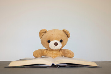 Brown teddy bears sitting on a white background reading a book. Concept back to school, education.