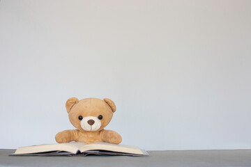 Brown teddy bears sitting on a white background reading a book. Concept back to school, education.And free space for your text.