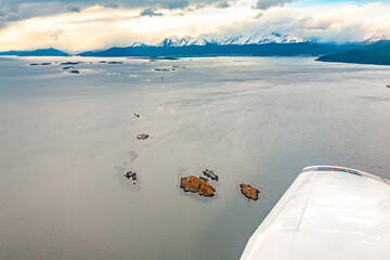 vista dall'alto di un aereo di un paesaggio acquatico della Patagonia 