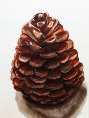 Pine cone, drawing with markers, white background. - 497946301