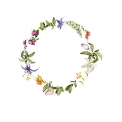 Watercolor floral wreath. Hand painted frame of green leaves, spring wild flowers, field summer bloom, herbs. Border isolated on white background. Iillustration for card design, print, background