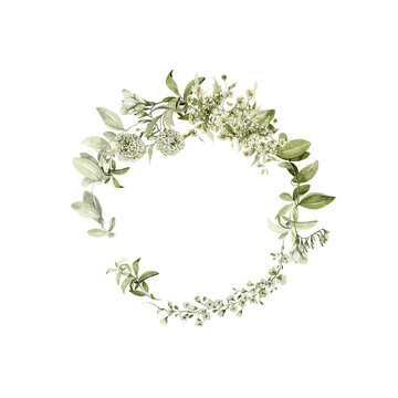 Watercolor floral wreath. Hand painted frame of green leaves, spring wild flowers, field summer bloom, herbs. Border isolated on white background. Iillustration for card design, print, background