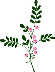 A twig with leaves and berries. A vector file is useful for creating your designs.