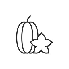 Fruit star thin line icon. Linear symbol. Vector illustration..