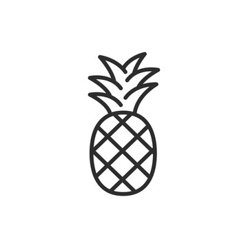 Pineapple thin line icon. Linear symbol. Vector illustration..