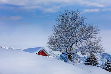 Fotobehang Allgäu - Chalet - Baum - Winter - Schnee - Berge  © Dozey
