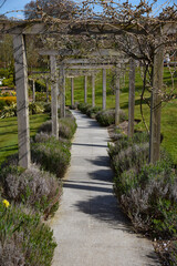 path in the garden