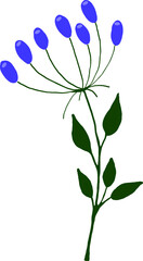 A plant with green leaves and blue berries. Vector file for designs.