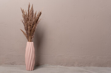 A pampas bouquet in a rose vase in a minimalistic interior. Minimalism concept. Copy space, space...