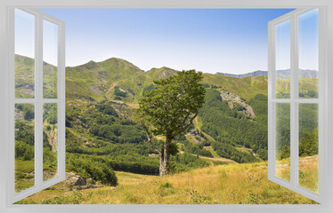 Mountain ladscape with lone tree seen through a window - live in the mountains concept image
