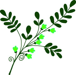 A twig with green leaves and small flowers. A vector file is useful for creating your designs.