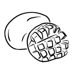mango simple line sketch with black line style