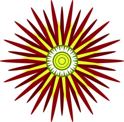 A bright shining star. A vector file is suitable for creating your designs.