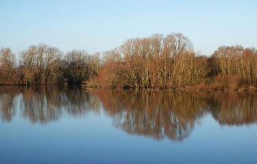 A beautiful reflection shot of a waterfront woodland area in the winter sunshine. 