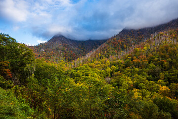 Weather clearing up over mountainside with beautiful saturated fall colors in the Great Smoky Mountains National Park, Tennessee, USA.