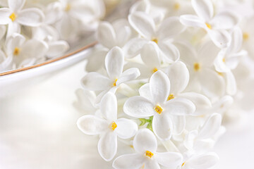 Naklejka na ściany i meble White Lilac flower background. White lilac on a plate on white background, white floral background
