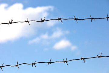 Barbed wire on background of blue sky and white clouds. Concept of boundary, prison, war or immigration