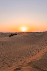 Fototapeta na wymiar Desert sunset with empty dunes in Dubai or Abu Dhabi, United Arab Emirates